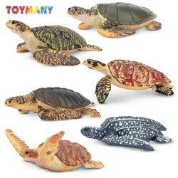 6Pcs Toymany Simulation Sea Turtle Figures Ocean Animal Model Action Toys for Kids Children Gift Set Mini Collectible Figurines