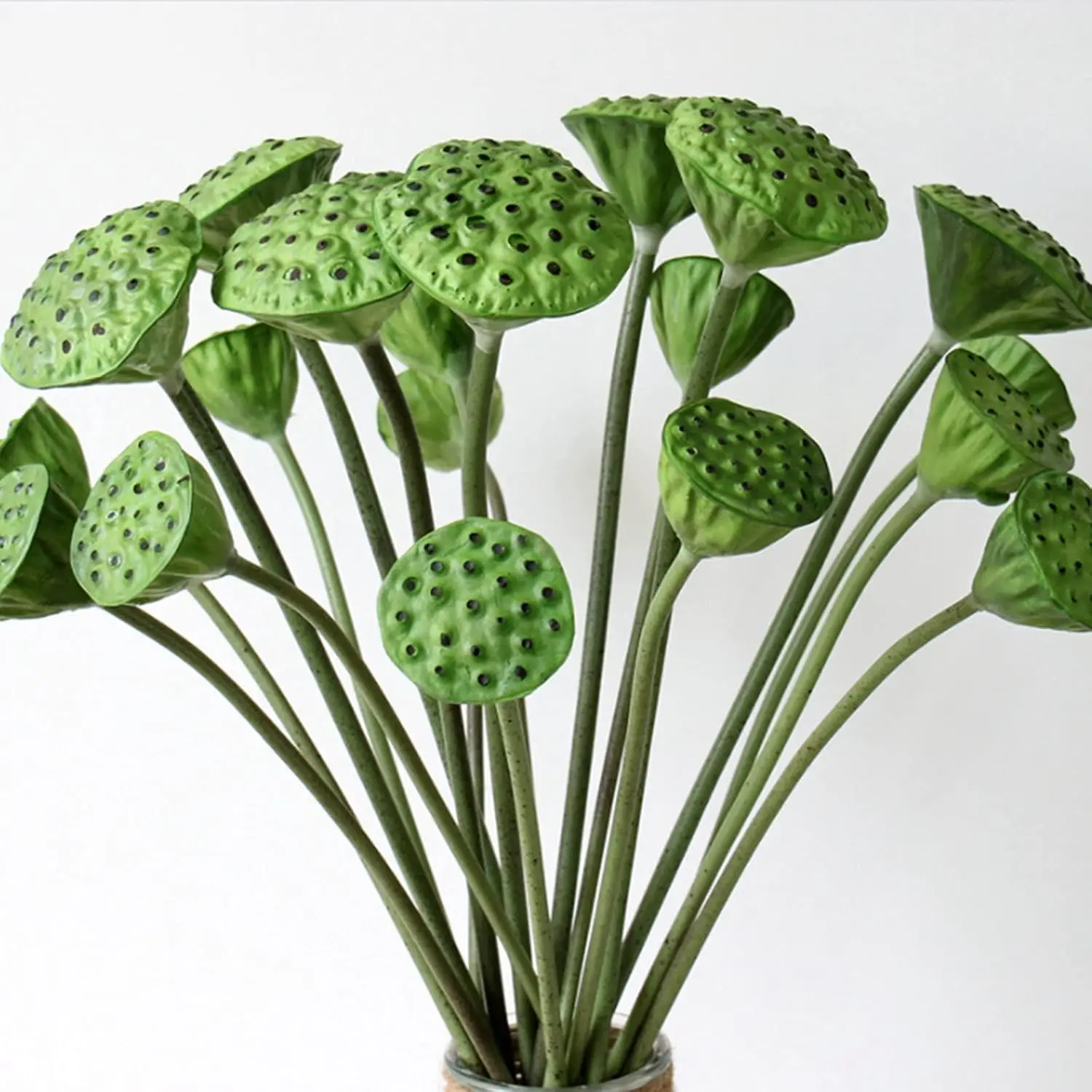 6 шт. искусственный капсулы лотоса, реалистичный капсуль искусственного цветка лотоса с длинным стеблем для рукоделия, искусственные растения лотоса для улицы H 6 шт. искусственный капсулы лотоса, реалистичный капсуль искусственного цветка лотоса с длинным стеблем для рукоделия, искусственные растения лотоса для улицы H