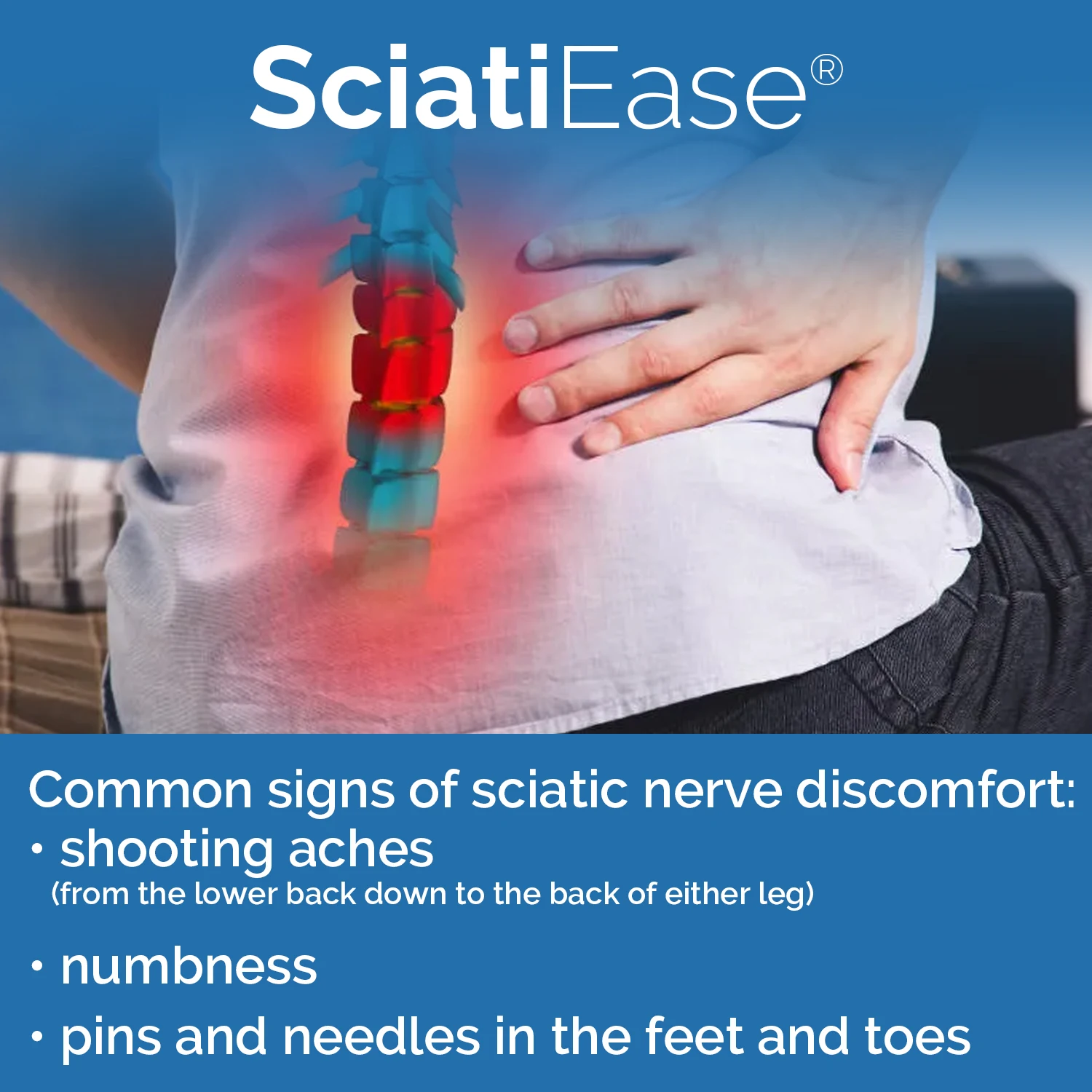 تركيبة تسهل العصب الوركي - تقلل من الانزعاج العصبي وآلام المفاصل، ومضادة للالتهابات، والحفاظ على صحة العصب، وزيادة القدرة على التحمل