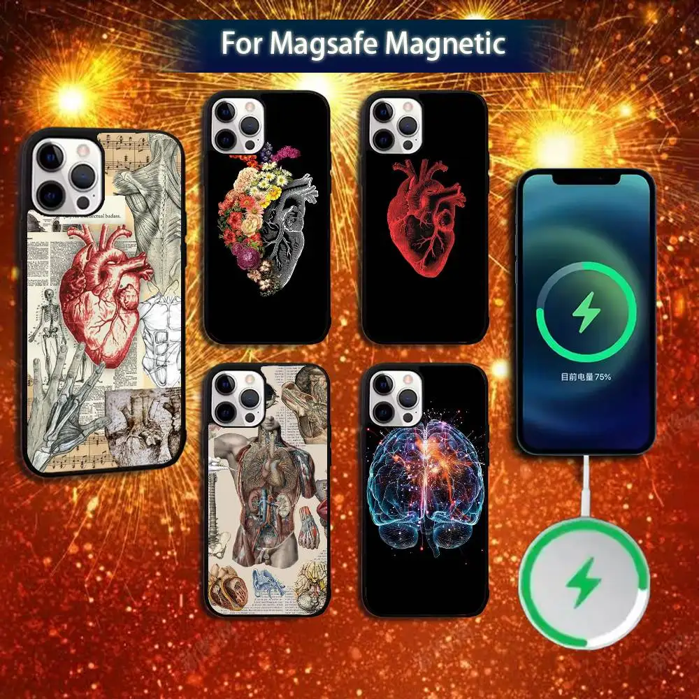 

Human Anatomy Medical Phone Case For iPhone 16e,16,15,14,13,12,11,Plus,Pro,Max,Mini Magsafe Magnetic Wireless Charging