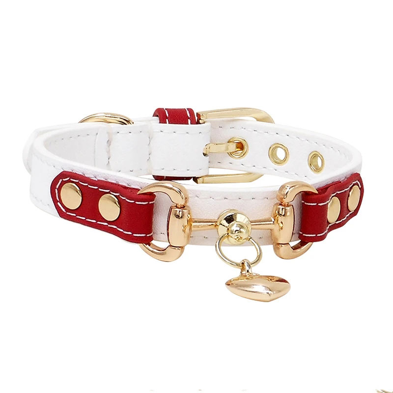 Genuine Leather Pet Collar: Stylish with Golden Hardware. Ideal for small - medium dogs like Pugs and Malteses