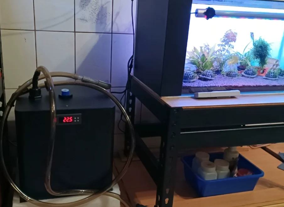 180W 60L Aquarium Water Chiller Heater System 10-40℃ Constant Temperature Sustainable Refrigeration Fish Tank Cooler