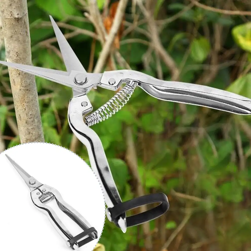 Stainless Steel Pruning Scissors Garden Fruit Tree Picking Scissors Pruning Shears Fruit Pruning Shears
