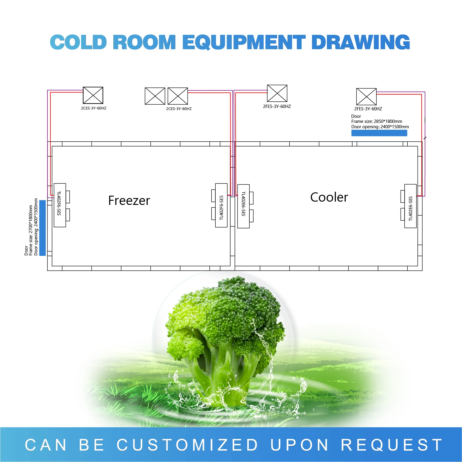 10 piedi 20 piedi 30 piedi Camminata nella stanza fredda Sala frigorifera refrigerata