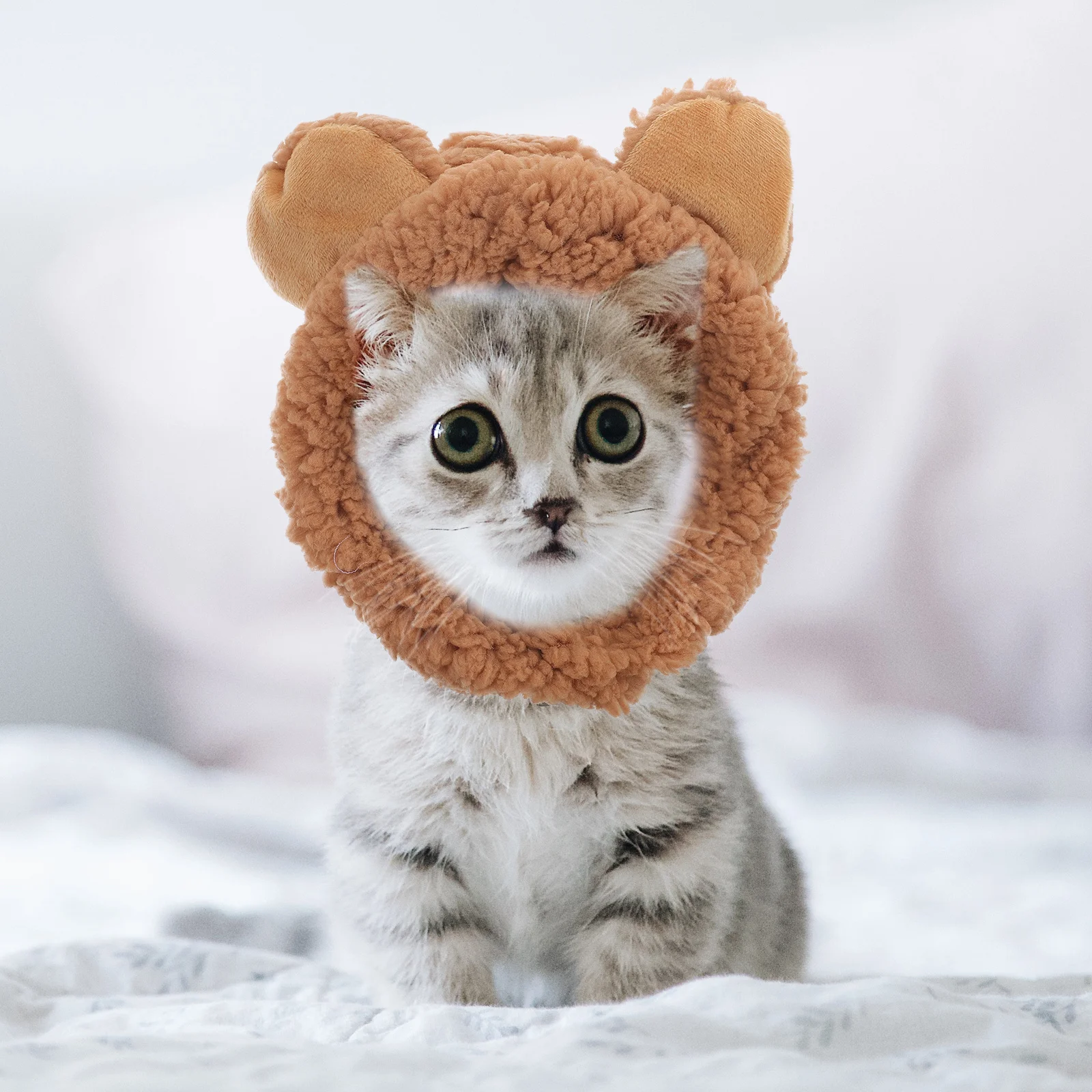 

2pcs Cat Bunny Ears Hat Warm Washable Pet Head Cover For Kitten Puppy Winter Travel Cartoon Protective Accessory Pet Costume