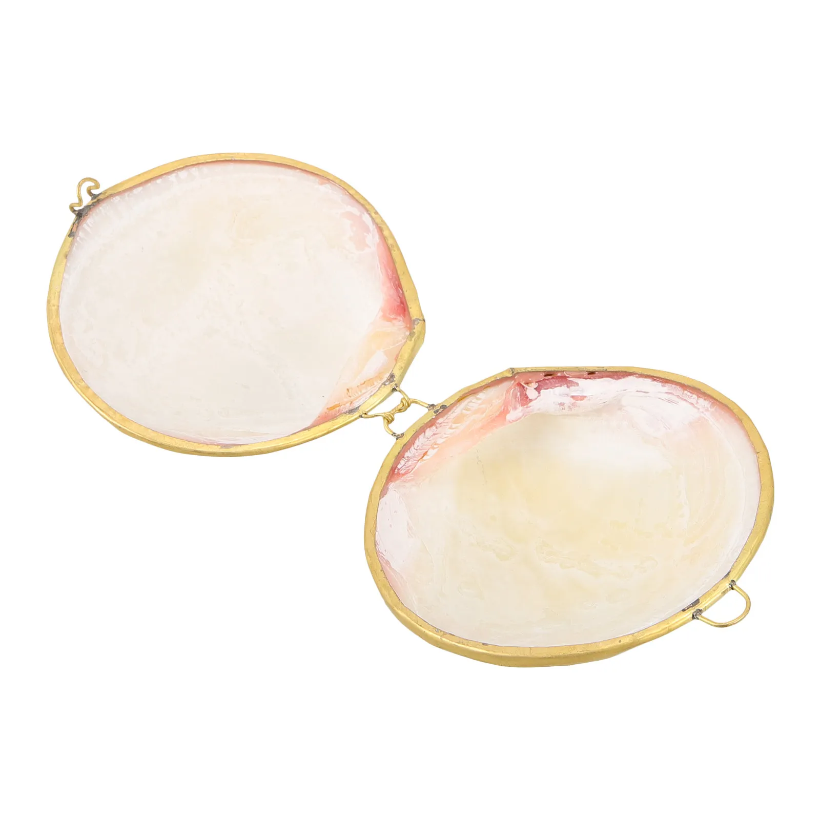 

Seashell Jewelry Box Elegant Shell Design Jewelry Storage Case Ring Holder Earring Organizer Necklace Keeper Gift Box