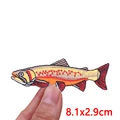 PE19047CT