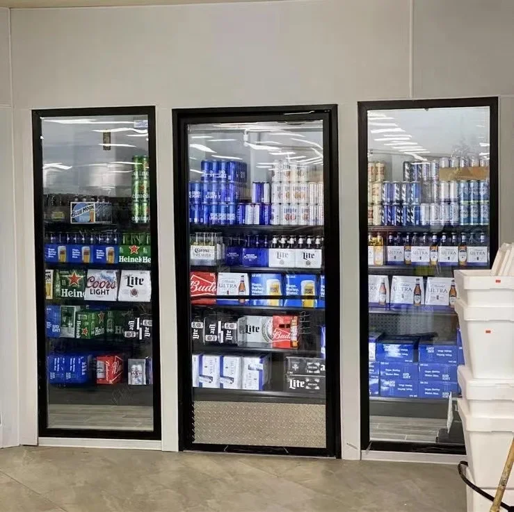 Upright Fridge Display Show Case Commercial Refrigeration Walk In Cooler And Freezer Glass Door With Panel