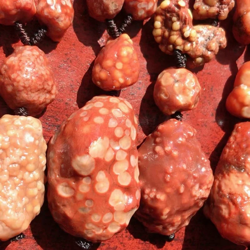 Alashan Gobi Rough Stone Red Fish Seed Necklace - view 2
