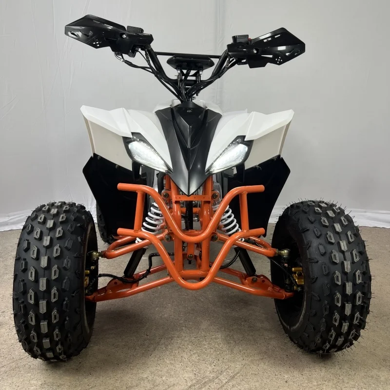 

125cc Automatic Chain Drive 4-Stroke Quad Bike ATV Motorcycle for Adults with CE Certification and 2WD