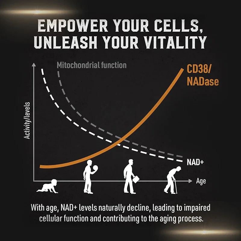 Liposomal Nad Supplement-Verouderingsverdediging, Cellulaire Energie, Hart-En Hersenfunctie, Levensduur