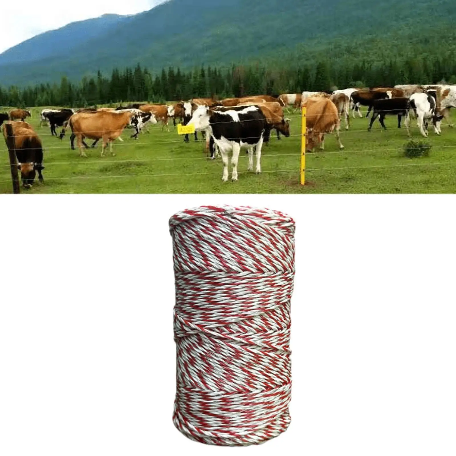 200M 2mm Diameter 6 Strands Heavy Duty for Livestock Electric Fence Polywire