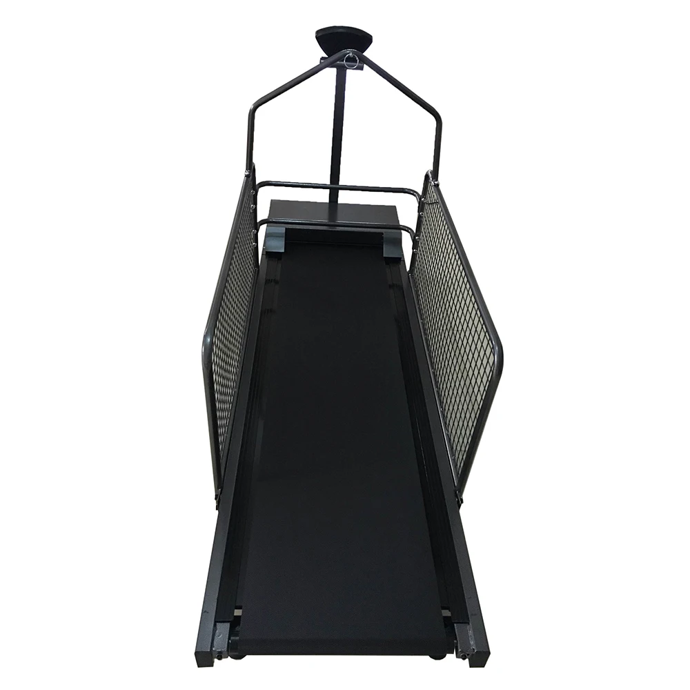 Factory Direct Sale of Home Animal Treadmill With Mesh, Dog Treadmill C350W, Pet Silent