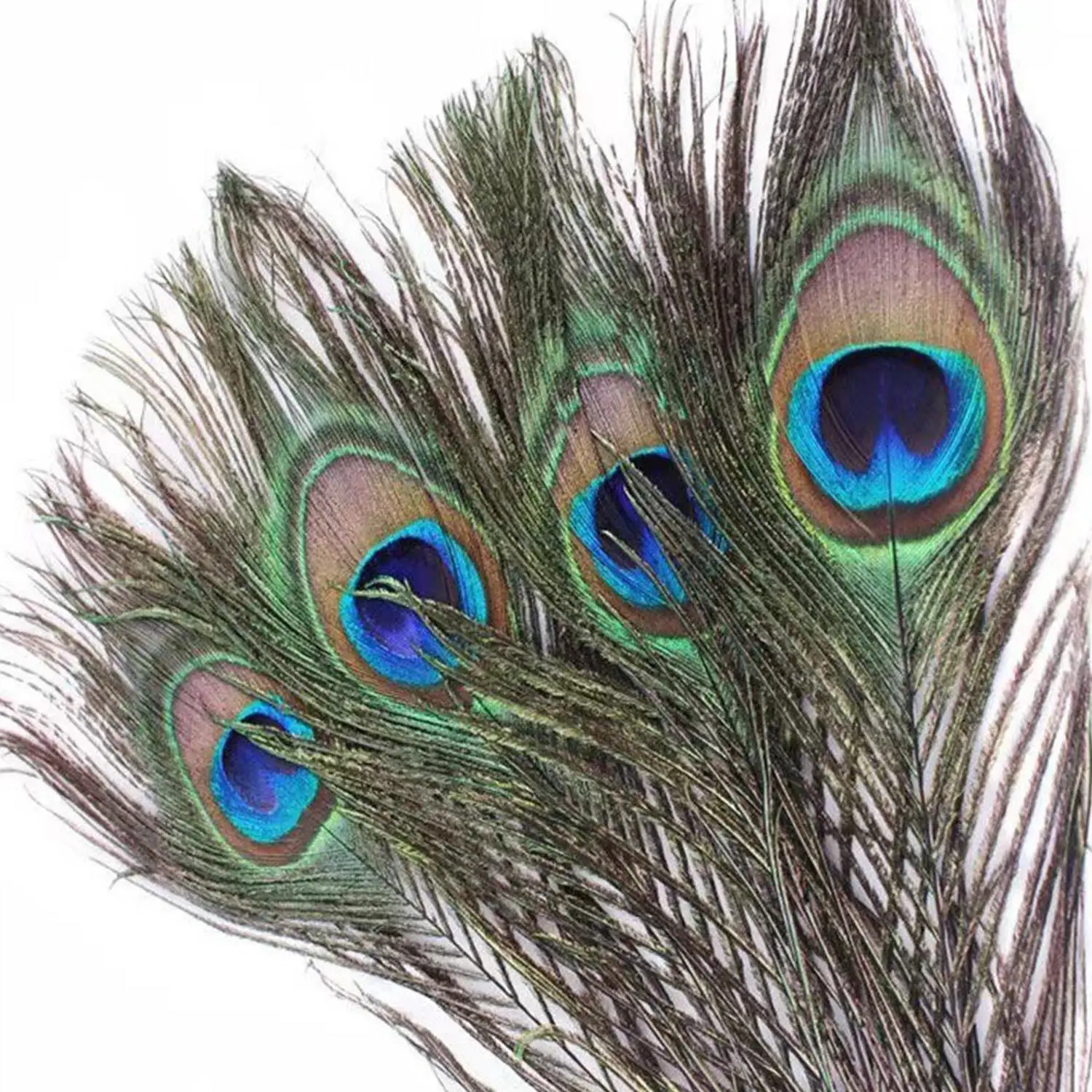 

Peacock Feather Home Decoration DIY Crafts Art Feathers DIY Vase Decoration Feathers for Crafts Peacock Feather DIY Jewelry