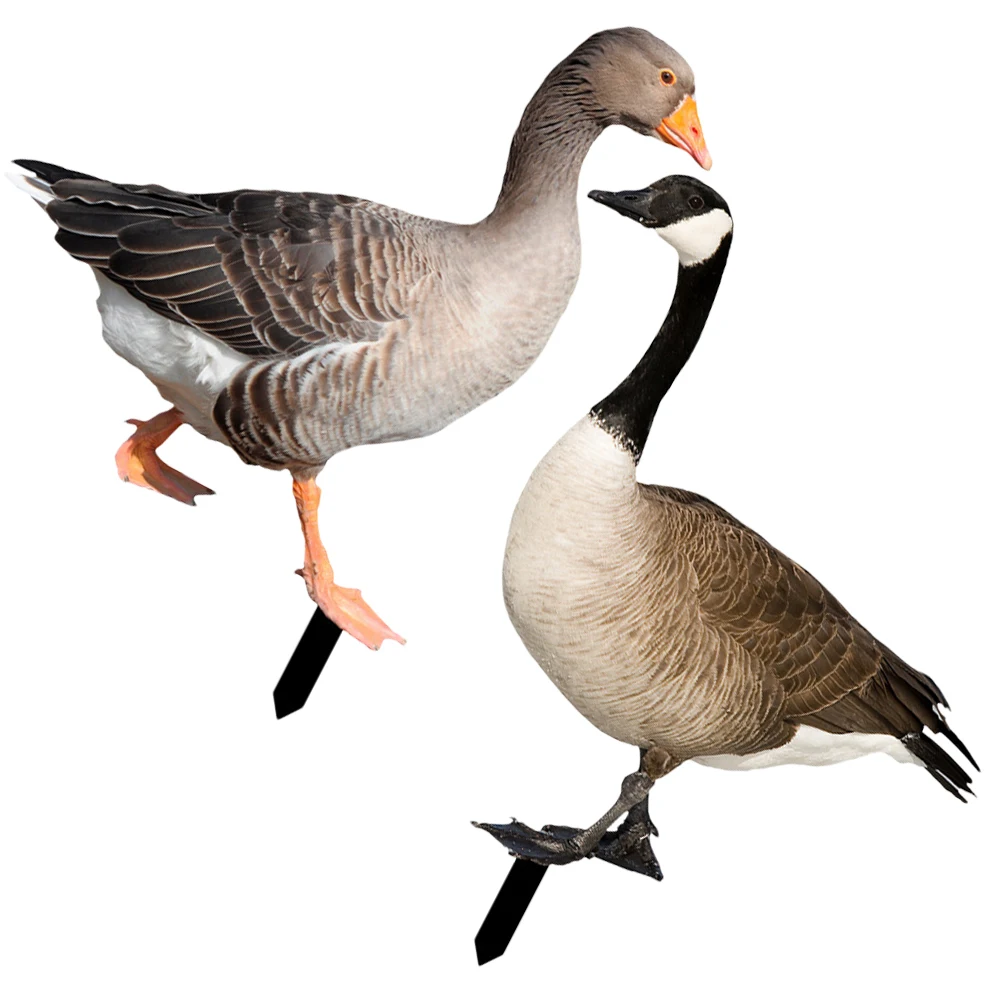

2 Pcs Duck Decoration Card Yard Stake Lightweight Acrylic Garden Ornament Outdoor Courtyard Display Kids Gift Party Props