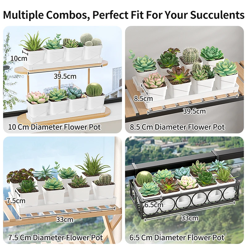 Noordse minimalistische succul - Cactus Mix Pot recensie en prijs