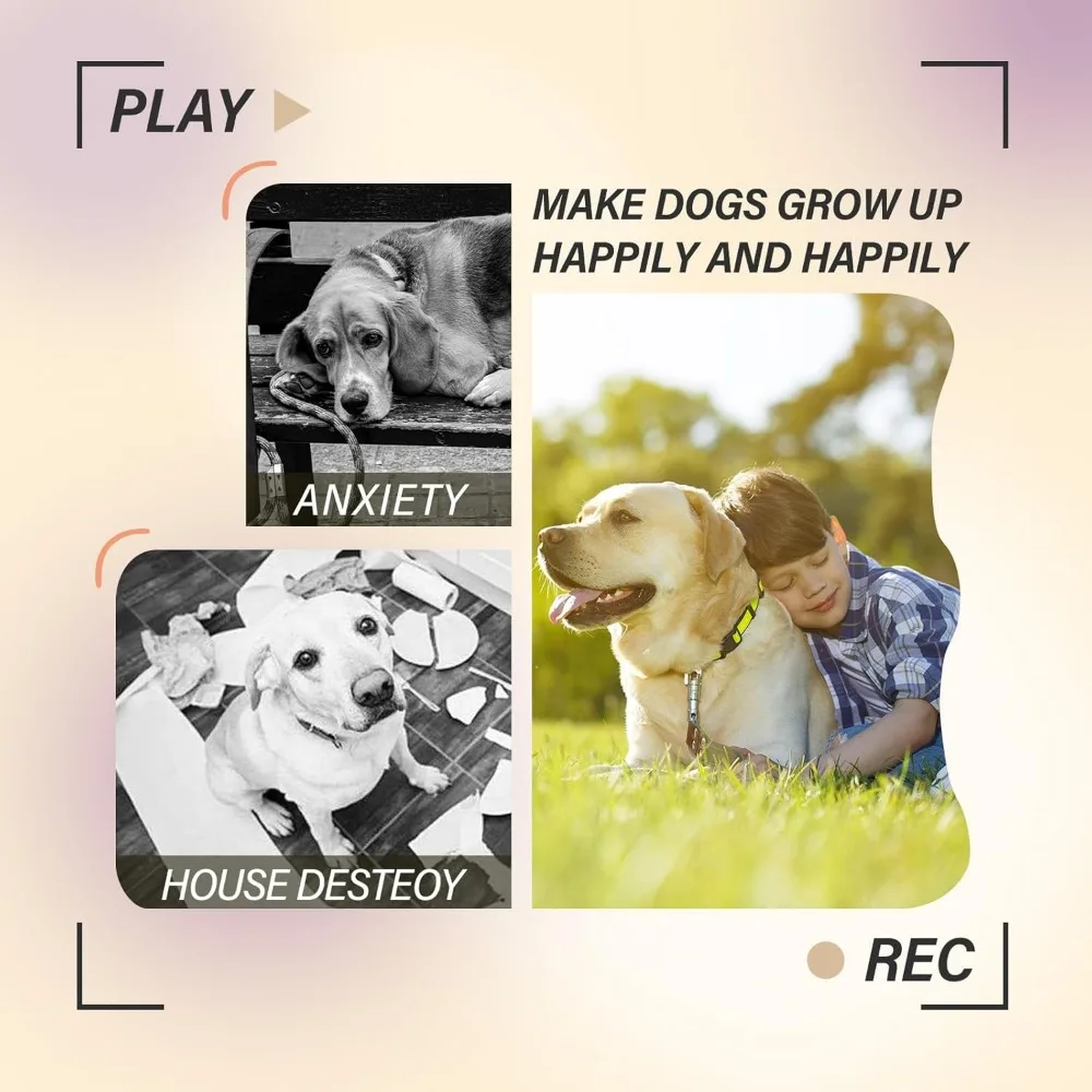 ptlsy التلقائي الكلب الكرة قاذفة التفاعلية جرو الحيوانات الأليفة الكرة آلة قاذف داخلي للكلاب الصغيرة والمتوسطة الحجم ، 3 كرات بما في ذلك #5