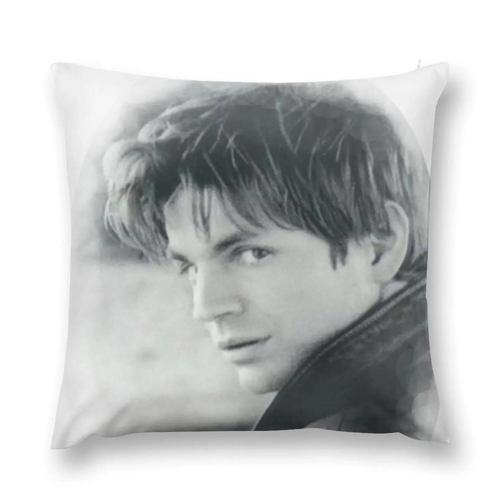 Brian Kinney Throw Pillow Pillowcases Cushion Covers Sofa Sofa Covers Decorative Cushion Cover Pillowcase Cushion pillow