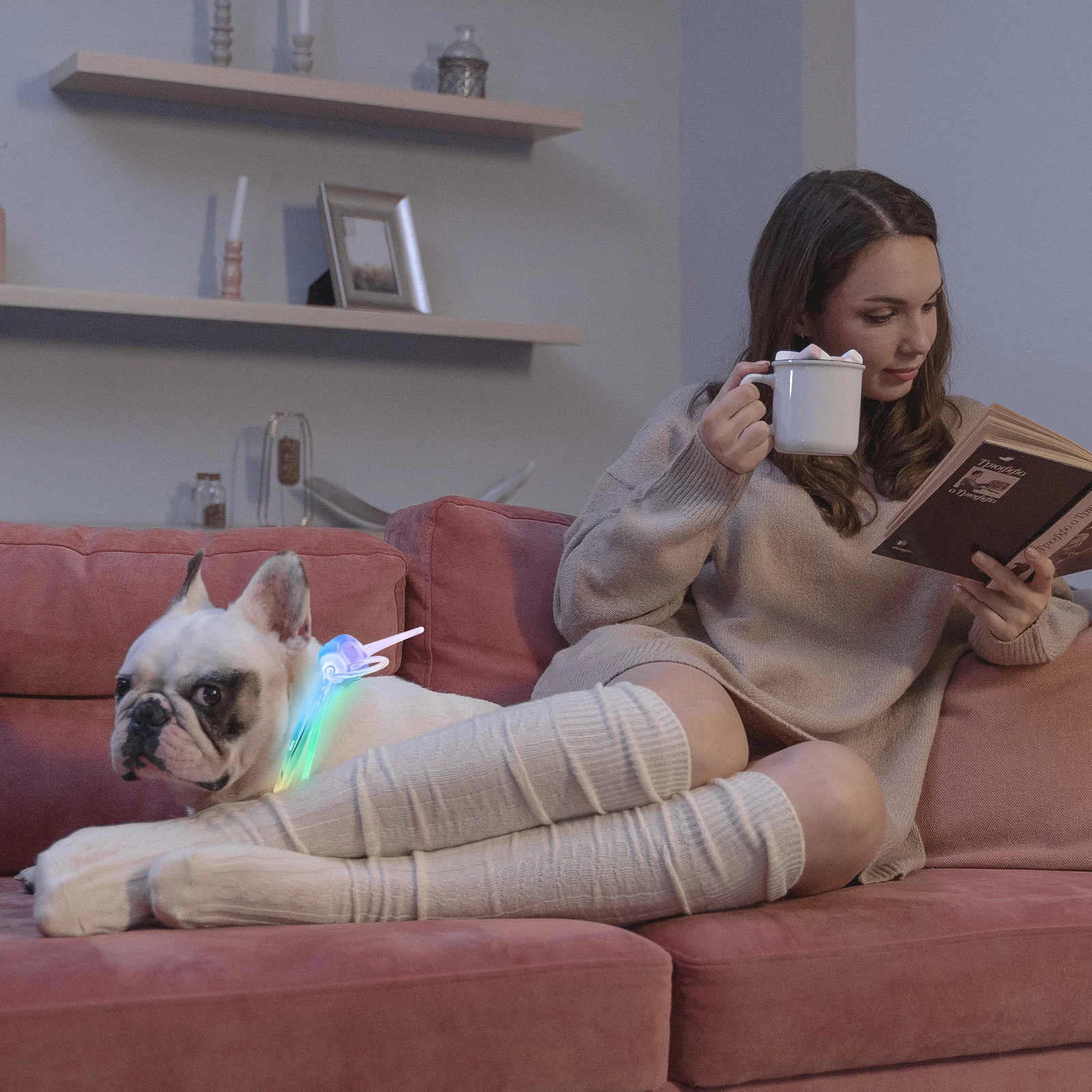 

2 Pcs Luminous Necklace Lanyards Pet Light Collar Collars Led Dog Practical Pu for Night Glow