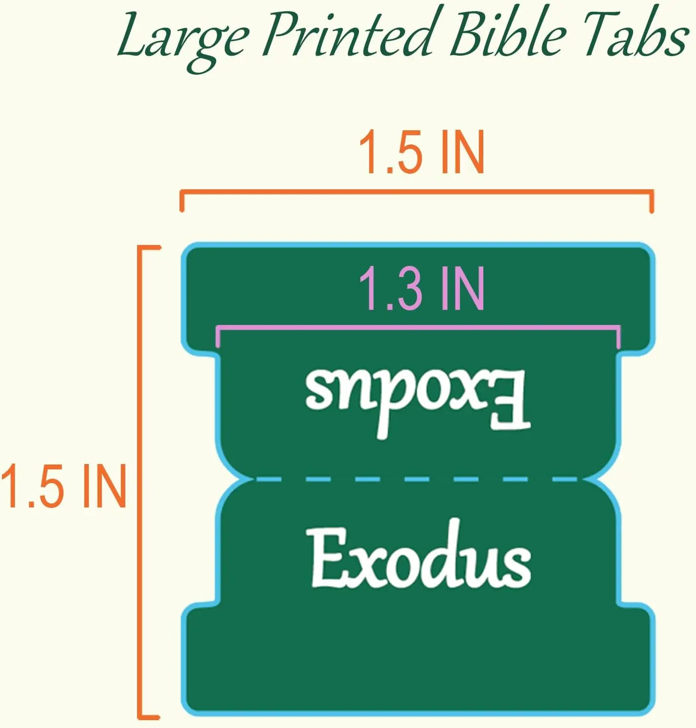 Bible Tabs Large Print Laminated Bible Tabs for Women and Men Easy to Read Bible Book Tabs for Study Bible Index Tabs Green