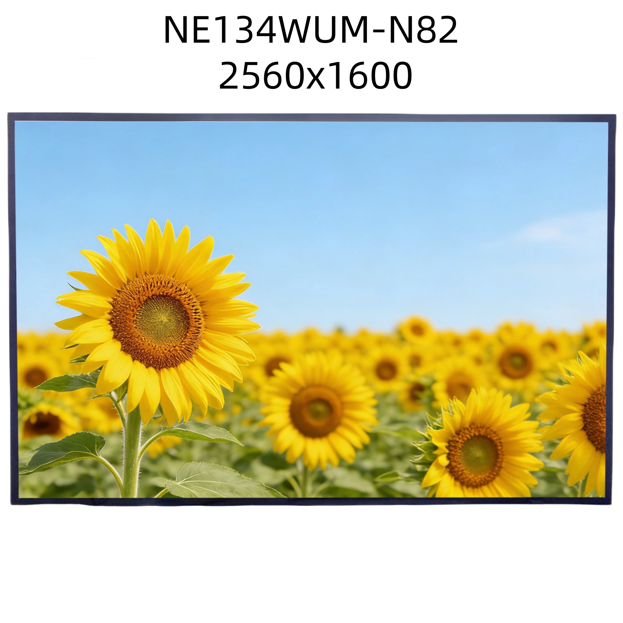 

NE134WUM-N82 2560x1600 13.4 inch IPS LCD Display Panel Laptop Matrix LED Screen