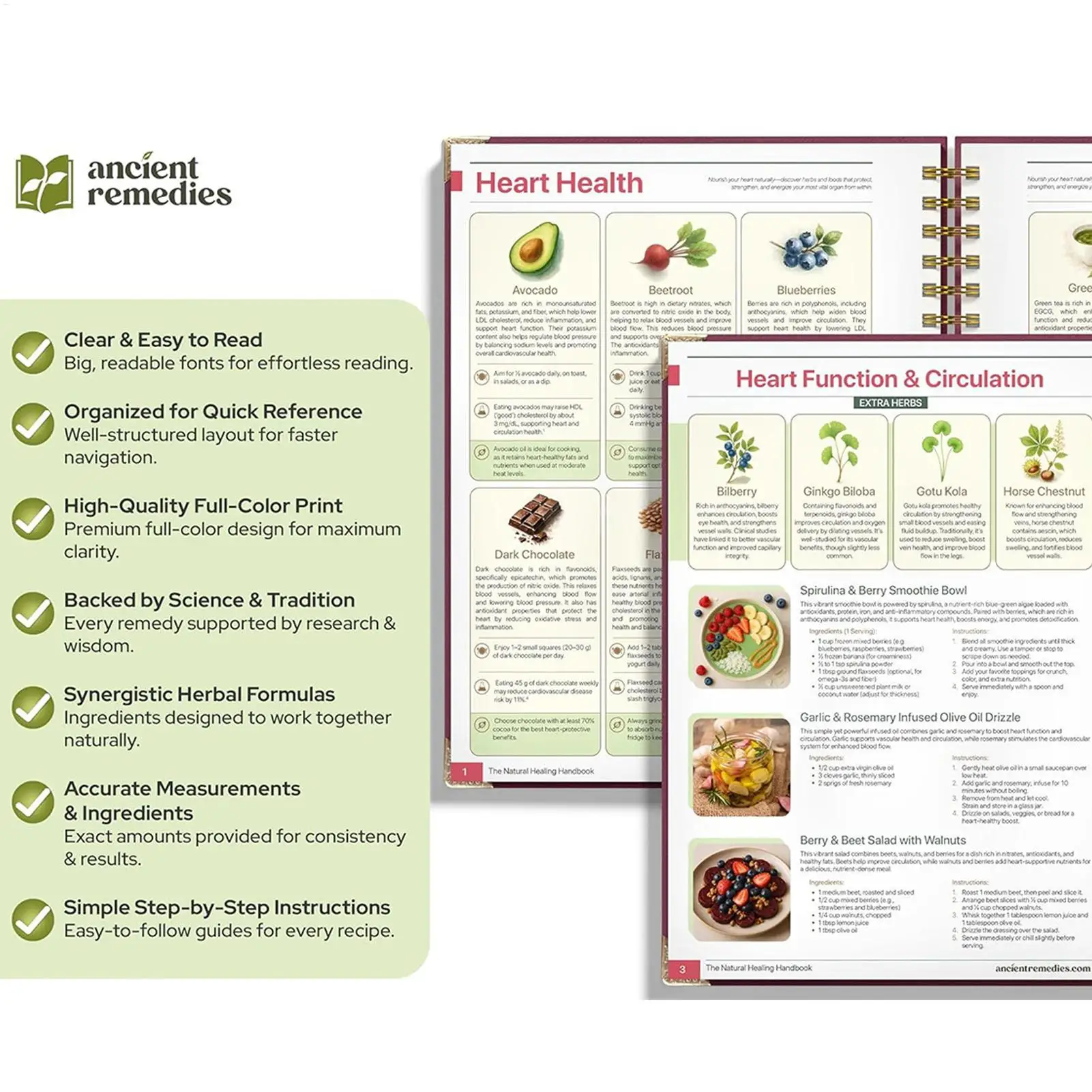 250x176x10 مللي متر دليل الصحة البشرية كتاب موضوع النبات الأكل وصفة دوامة ملزمة الكتاب الطبيعي للأسرة الكبار المسنين دراسة الشيف #2