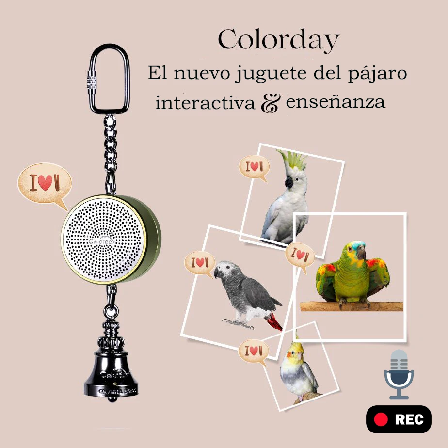 Juguetes loros para enseñar a entrenar pájaros, entrenador que habla, grabación interactiva, reproducción, volver a contar, campana de desgarro para masticar con voz electrónica juguetes para pájaros