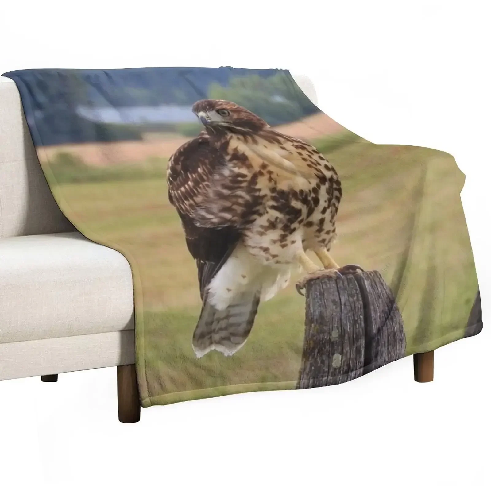 Red-Tailed Hawk Throw Blanket Decorative Beds Bed linens Sofas Blankets