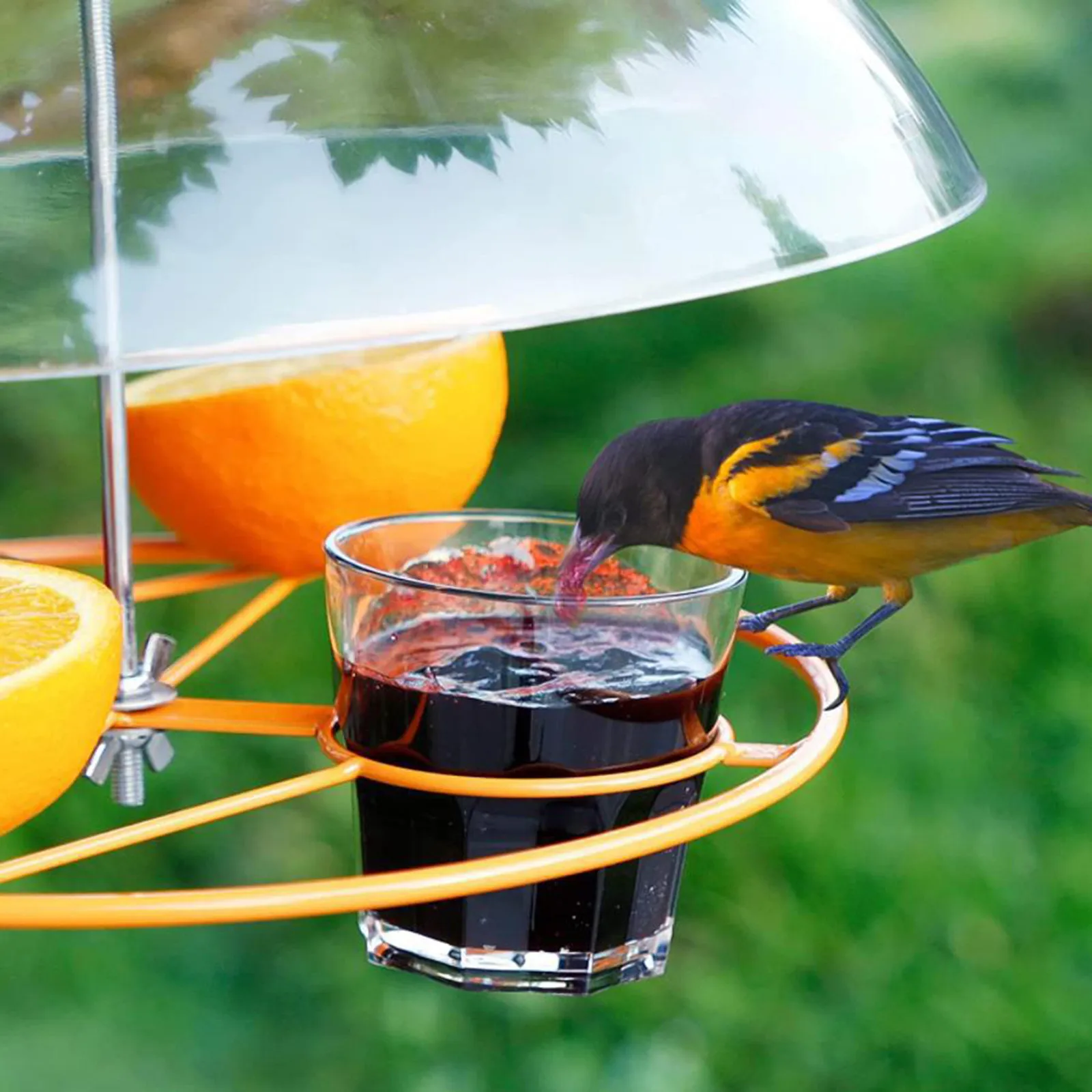 Bird Feeder Clear Protective Dome Anti-squirrel Rain-proof Hummingbird Rain Protective Cover Hanging Bird Feeders With Hooks