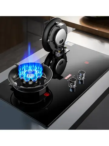 Two-burner Gas Stove Desktop Fierce Fire Kitchen Gas Stove Dual Stove Embedded Nature Gas/LPG Timing Stove Dual-Use Gas Cooker