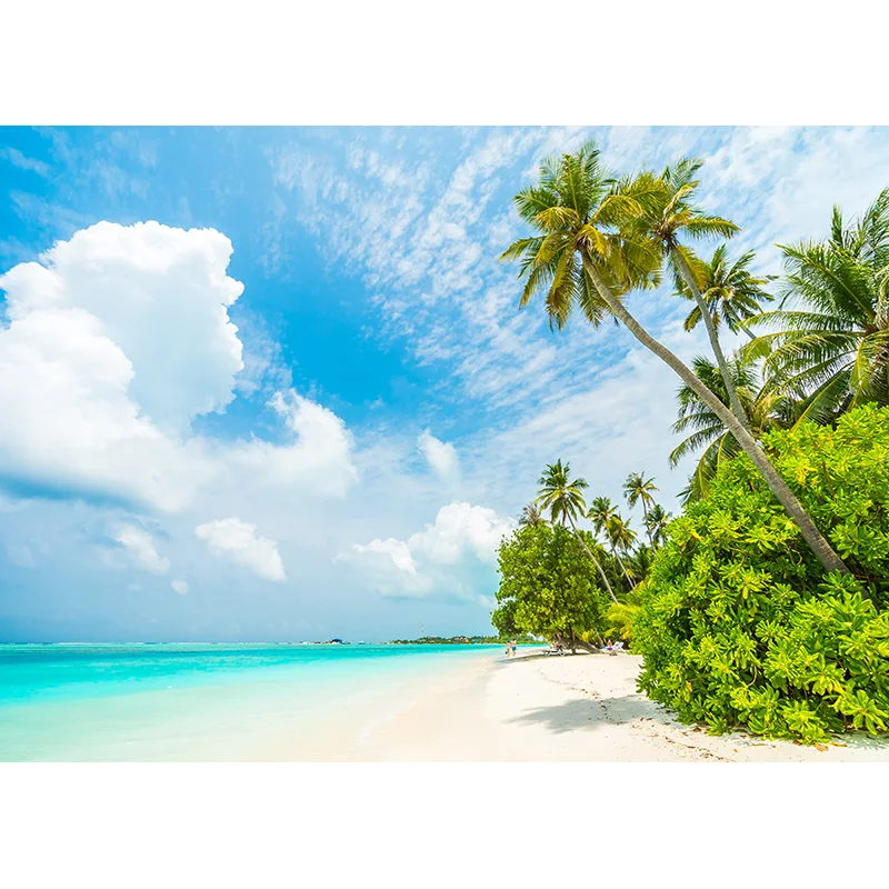 ZHISUXI Summer Tropical Palms Tree Sea Beach Photo Background Scenic Photography Backdrop Photocall Photo Studio 21414XHF-02