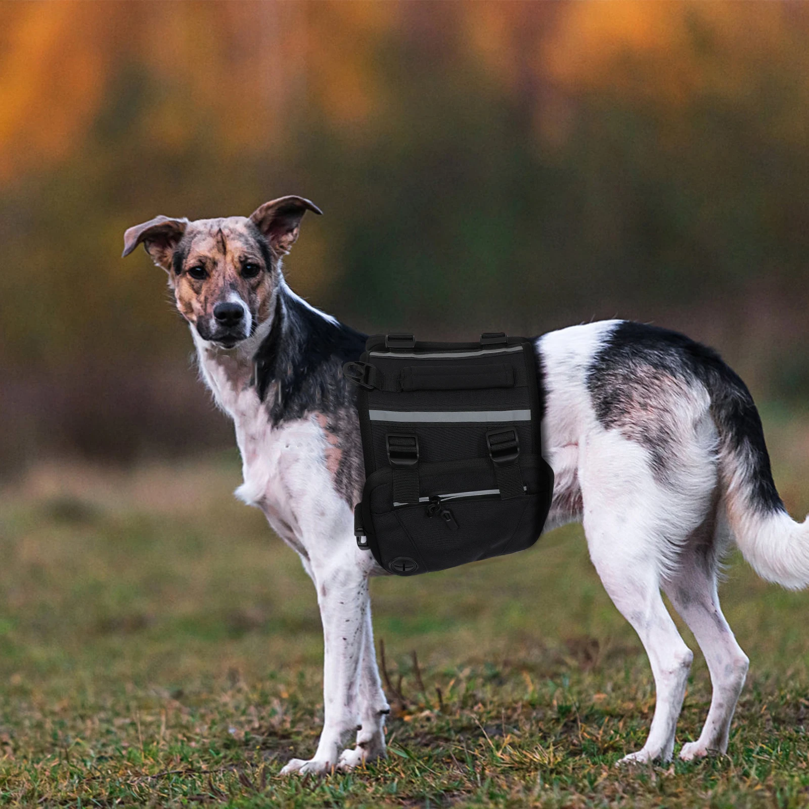 

Dog Backpack Pet Self Wearing Mini Bag for Walking Camping Hiking Durable Oxford Cloth Dog Supply Outdoor Activity