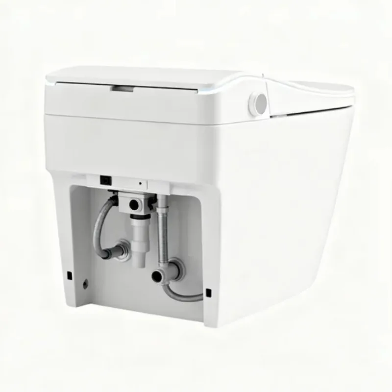 WC Intelligente Moderno in Ceramica con Scarico a Parete, Sedile Riscaldato, Telecomando e Wi-Fi per Bagno