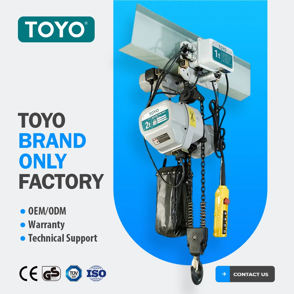 Lift Crane Electric Hoist Chain 1 2 Ton 3 Tons 10 Ton