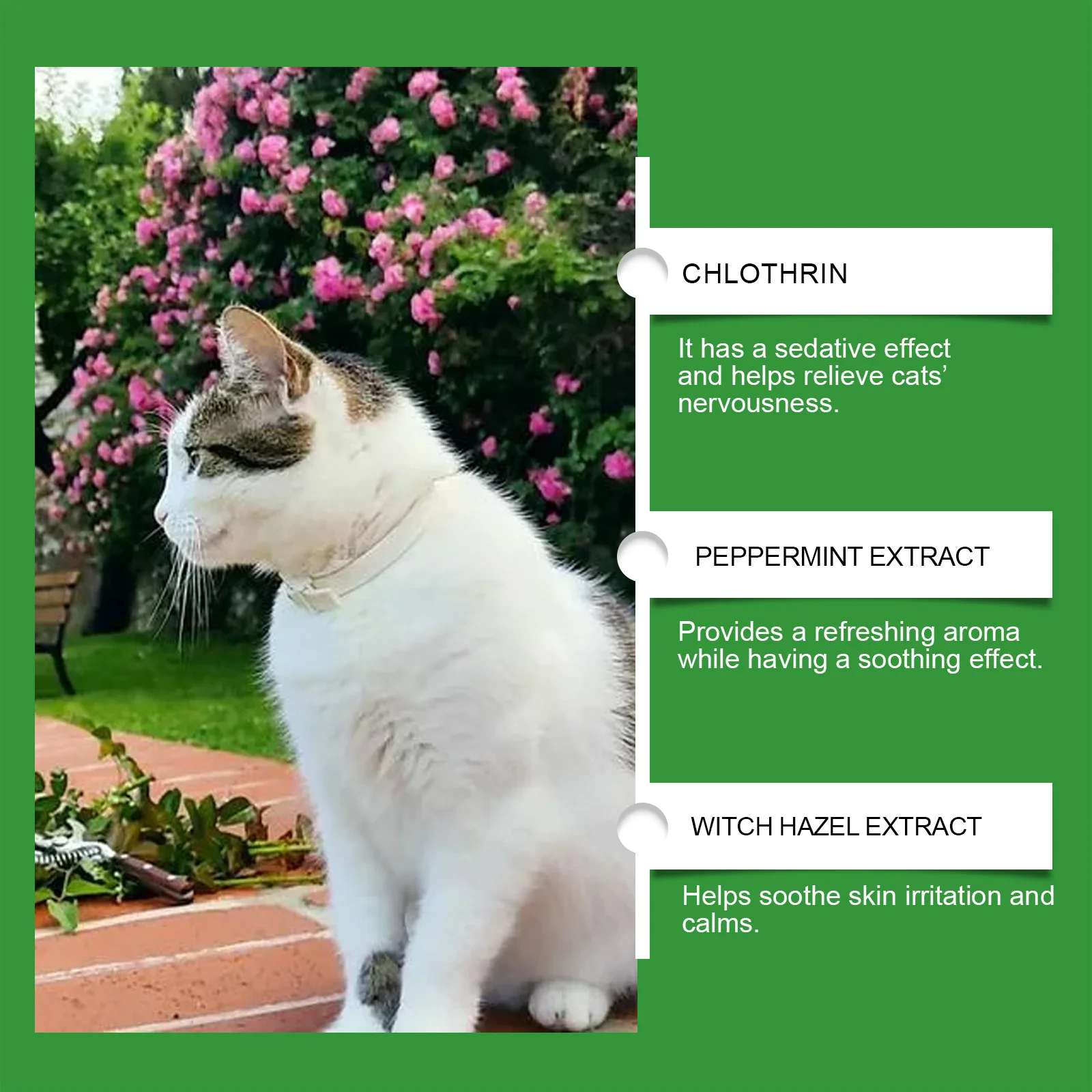 Cat Calming Diffuser Plug-In for Home Comfort 3