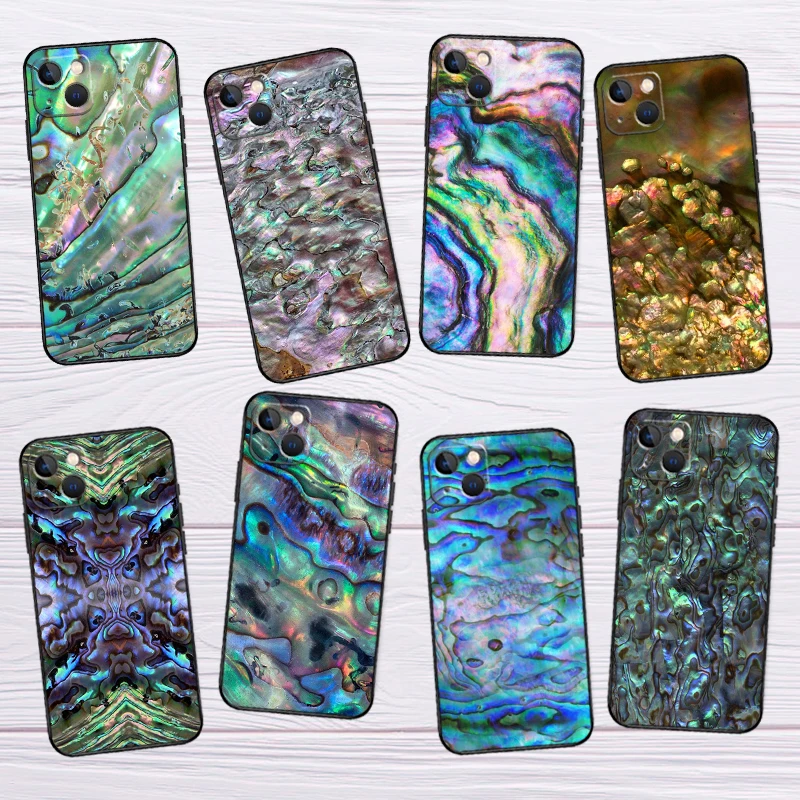 Paua Abalone Shell …