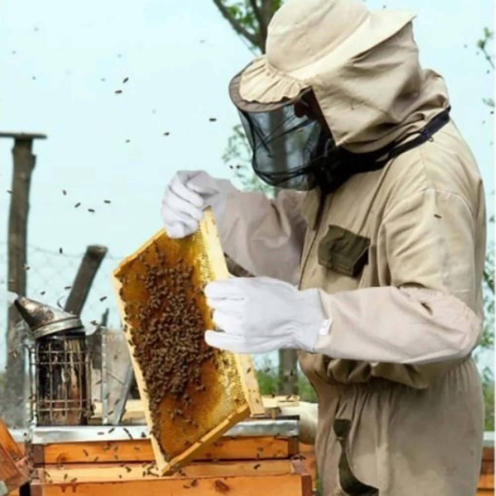 1 Pair Safe Beekeeping Gloves Anti-sting Professional Anti-bee Gloves Canvas Sheepskin Beehive Tools Beekeeping Tools