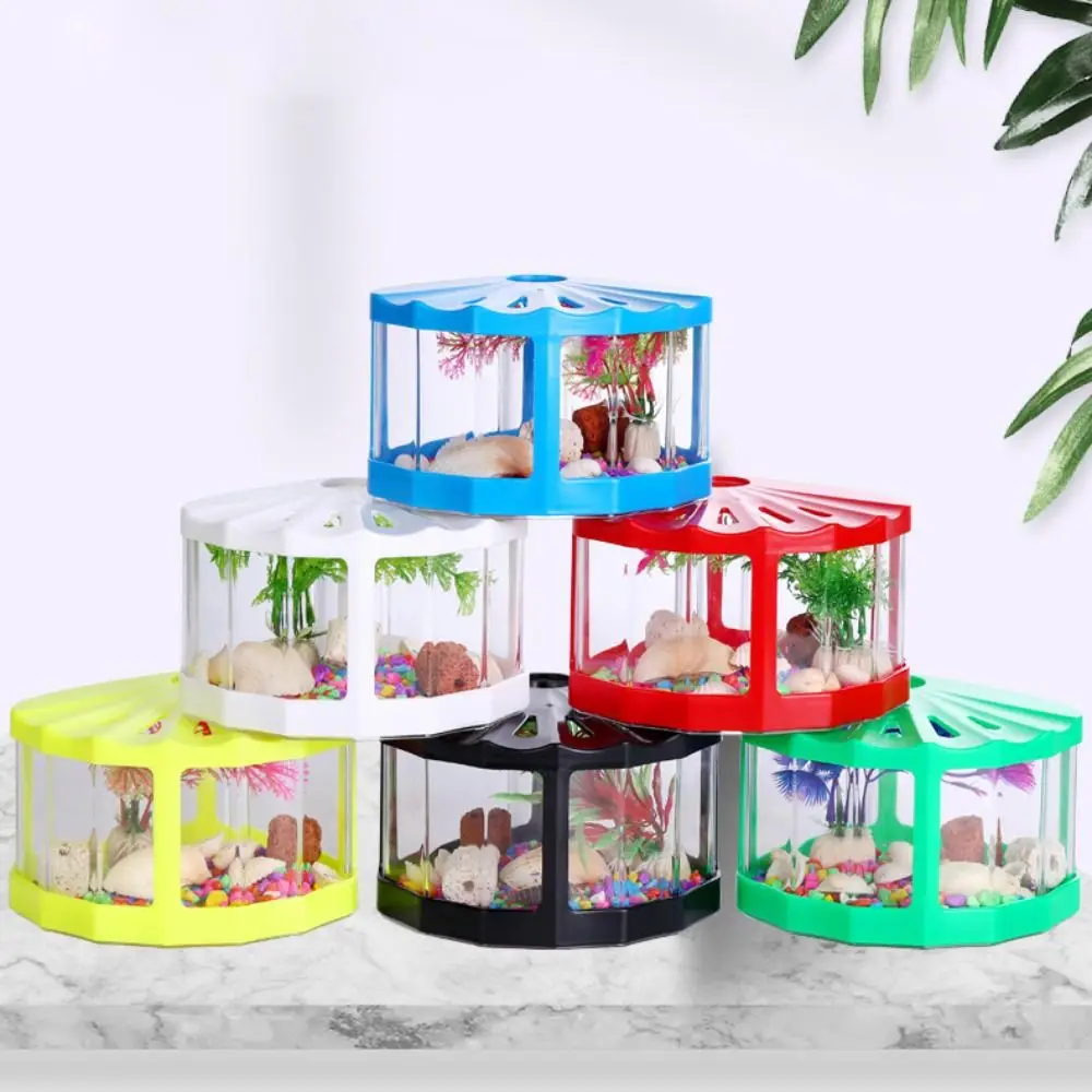 Plastic Betta Fish Tank Micro-Landscape Fan-shaped Breeding Box Fighting Fish Cylinder Tropical Fish Building Block Aquarium