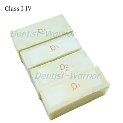 Dental Alveolar Jaw Bone Replica Practice Implant Resin Blocks Cortical ClassⅠ-Ⅳ 4 Models