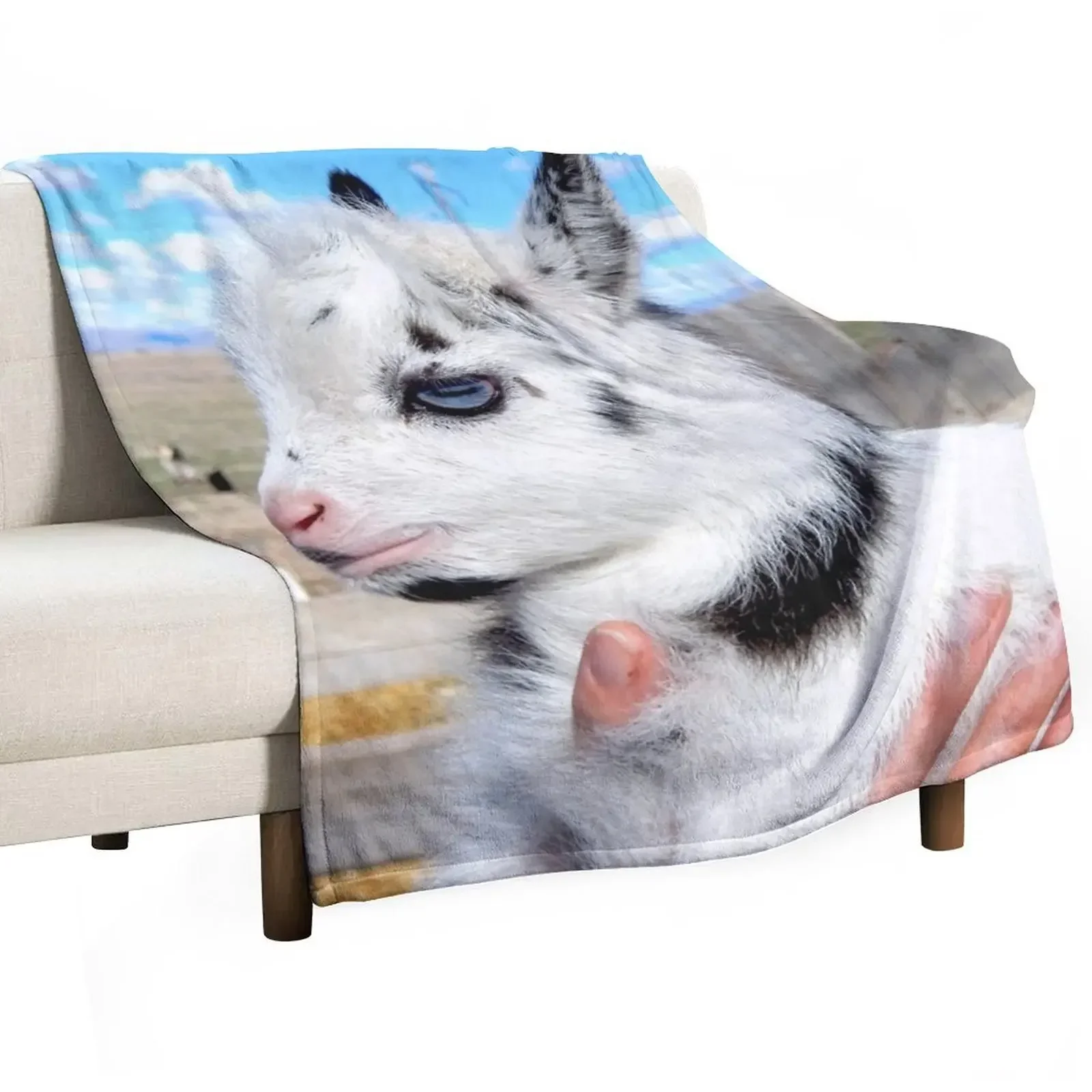 

blue eyed goat Throw Blanket For Decorative Sofa wednesday sofa bed Blankets