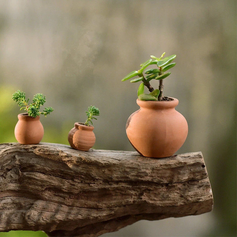 1:12 miniature per casa delle bambole vaso decorativo Mini vaso di fiori in Terracotta casa delle bambole fai da te