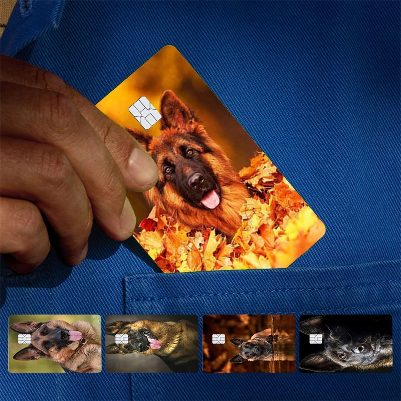 Belgian Malinois Puppy Dog Cover Skin Sticker For Credit Card Bank Debit Bus Card Front Side Card holder Sleek Indie