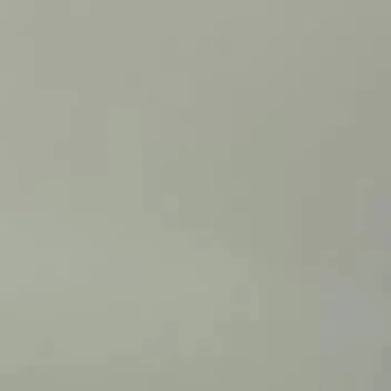 

For Game Card Case For Games Cards, Switch 2 Game Holder Cartridge Case With 10 Game Cards Storage