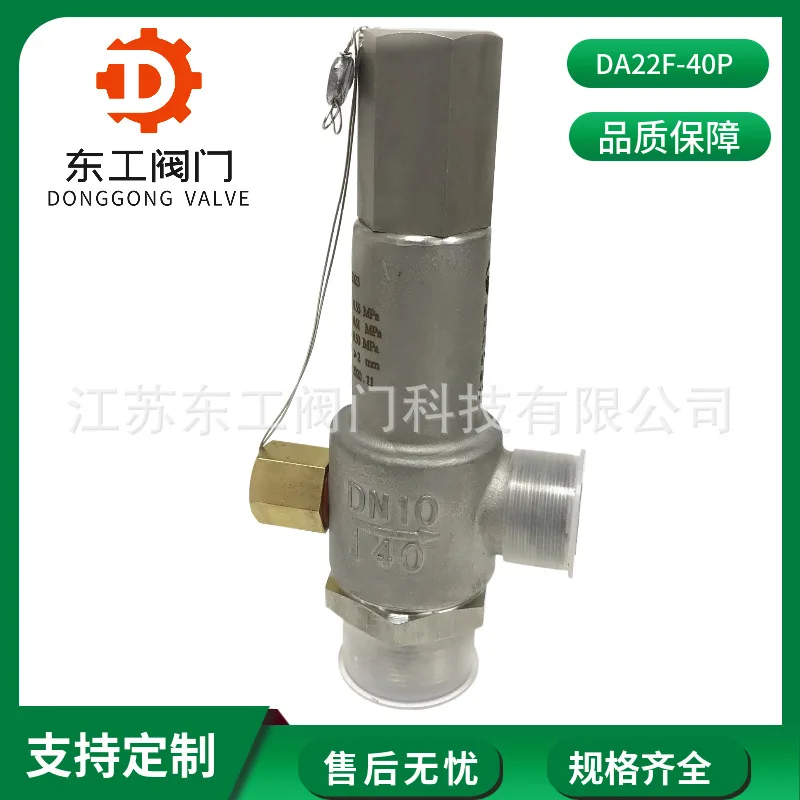 A22F-40P DN10 Cryogenic Safety Valve Stainless Steel Cryogenic Safety Valve Pressure Safety Valve Pressure Relief Valve