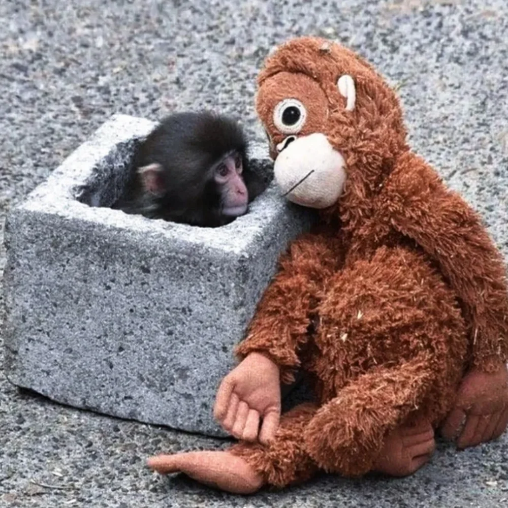 

Милая плюшевая игрушка-обезьянка, аниме-аксессуар, подарок на день рождения или Рождество