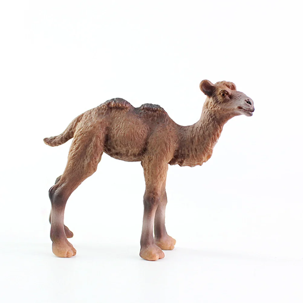 Simulation Camel Figurine Wild Animal Model Kids Toy Creative Desktop Ornaments Collection Decoration Craft Gift