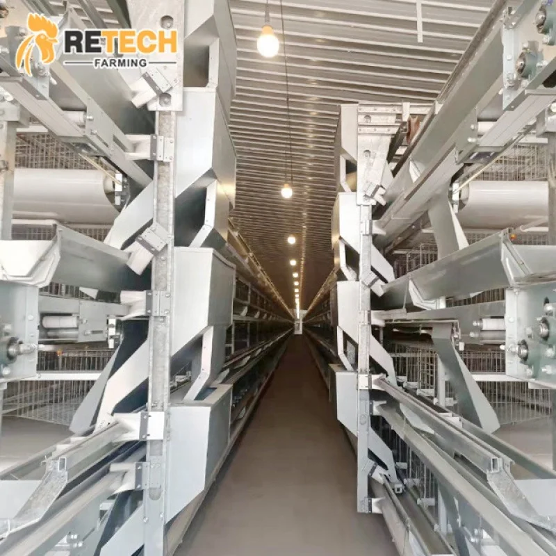 Fully Automatic H Type Battery Chicken Layer Cage Poultry Farm