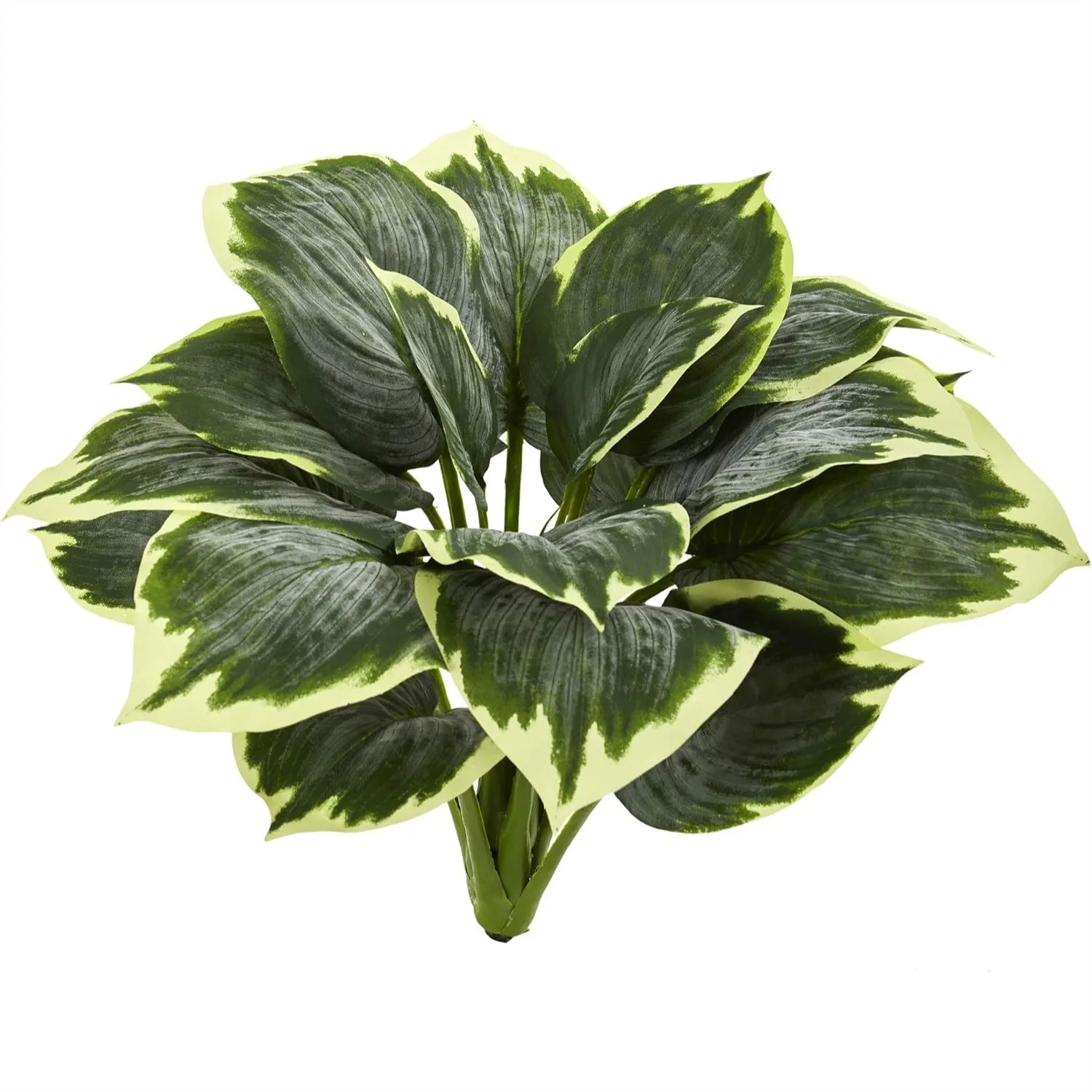 

Variegated Hosta Artificial Plant Set of 6, Lifelike Fake Flowers for Study Room Decor