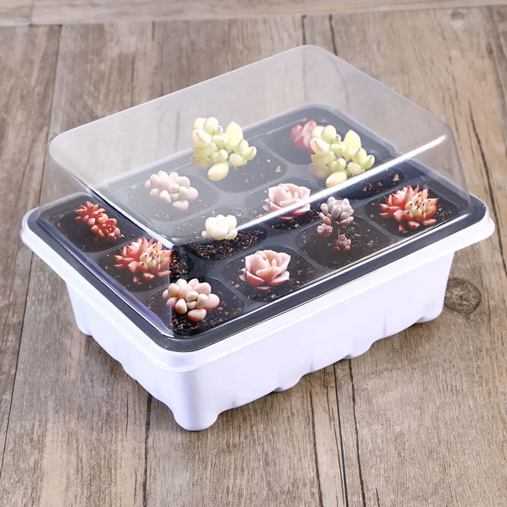 

6 Pcs Container Seedling Box Vegetables Planters Plastic Garden Trays for Plants