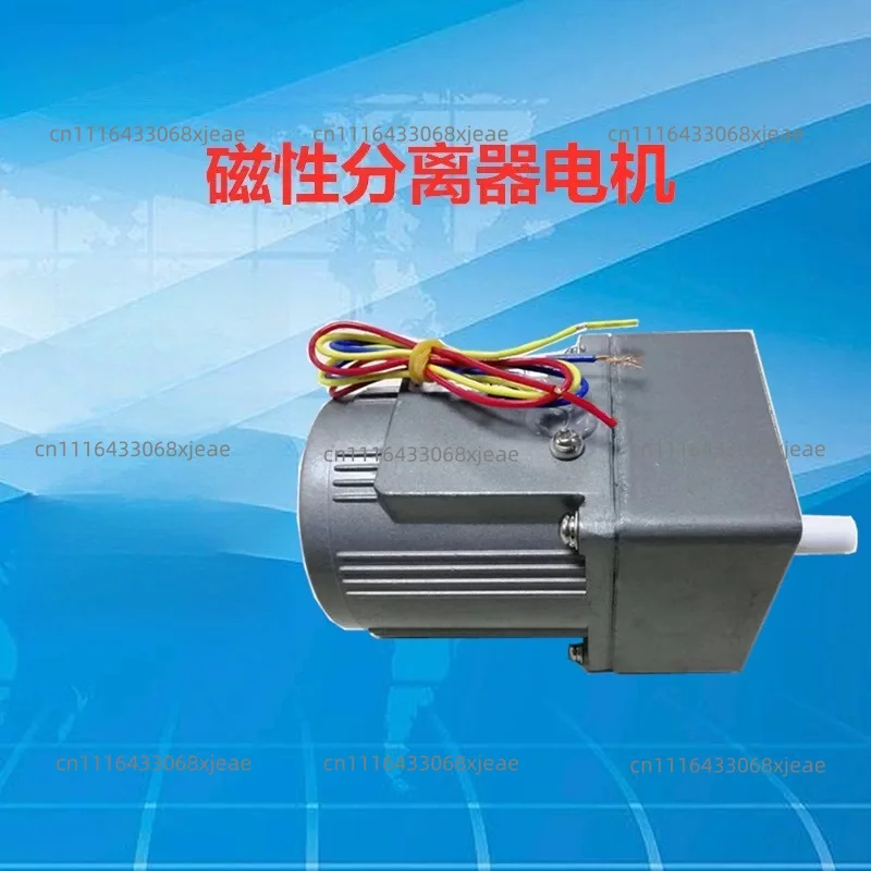 Special motor for grinder magnetic separator (380V/220V)